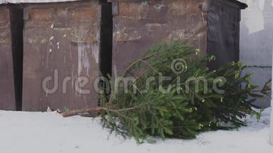 新年过后，圣诞树就在一个<strong>公共</strong>回收<strong>垃圾桶</strong>附近。 枞树在